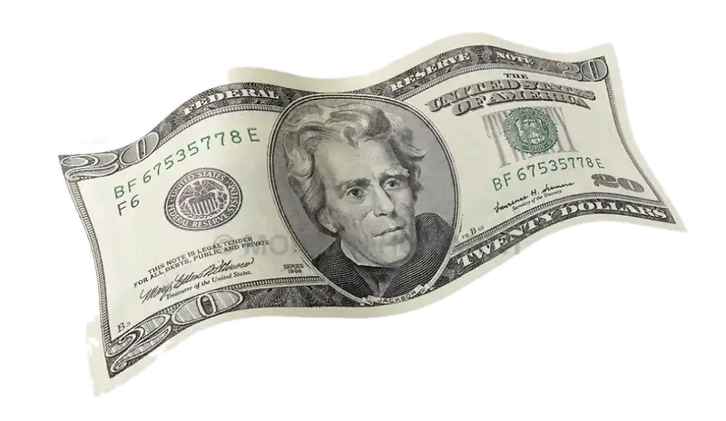 A twenty dollar bill
