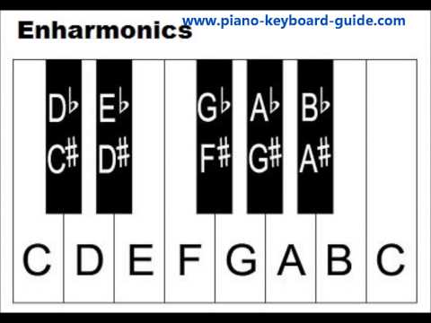 Piano Notes and Keys - How To Label Keys - Piano Keyboard Layout